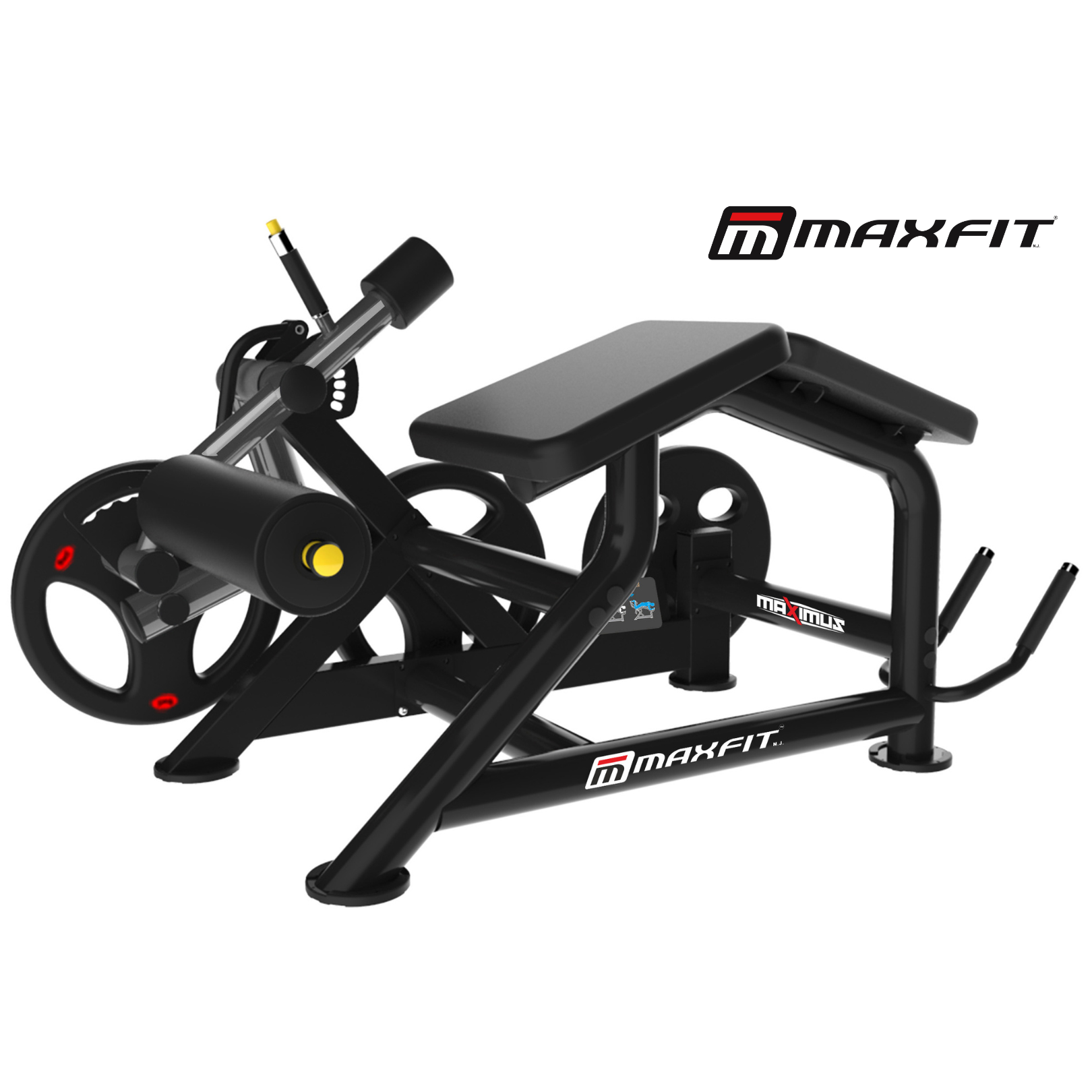 Maxfit Maximus Lying Leg Curl machine