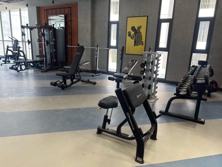 Adani Amogha Ahmedabad strength gym installation with commercial fitness equipment by Maxfit Hyderabad